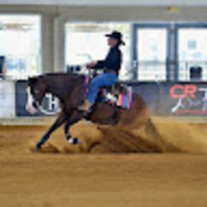 Meet your Posher, Holly